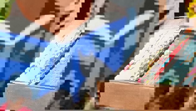 From loss to literacy